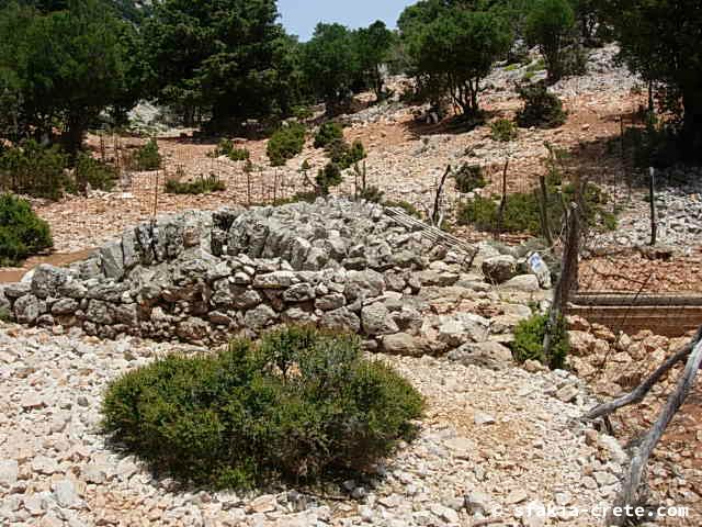 Photo report of two mountain walks in Sfakia, Crete, June 2008